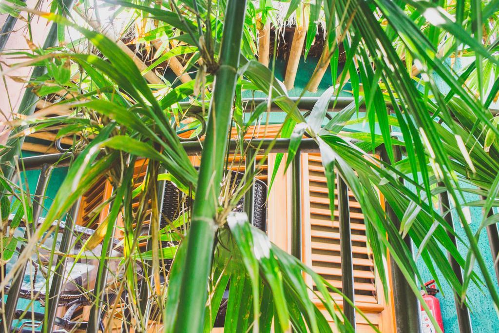 Cocos Cabanas Playa Del Carmen Adults Only Εξωτερικό φωτογραφία