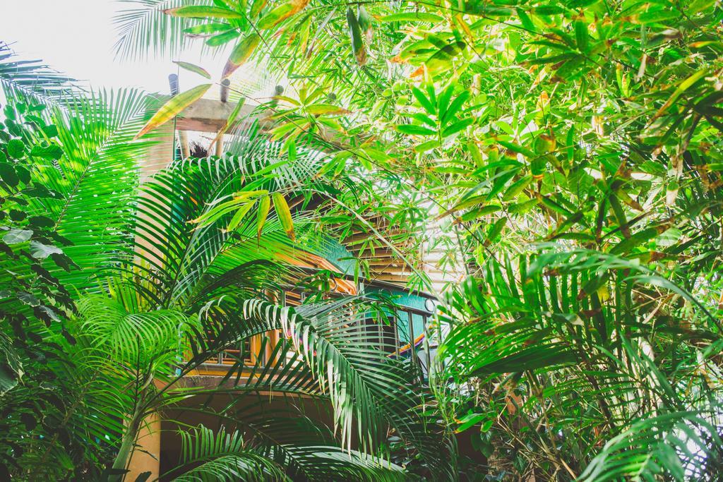 Cocos Cabanas Playa Del Carmen Adults Only Εξωτερικό φωτογραφία