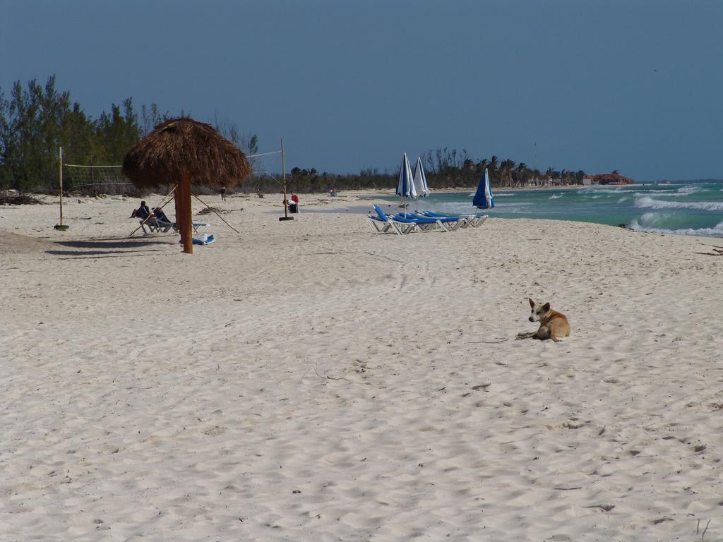 Cocos Cabanas Playa Del Carmen Adults Only Εξωτερικό φωτογραφία