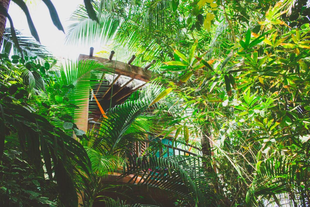 Cocos Cabanas Playa Del Carmen Adults Only Εξωτερικό φωτογραφία
